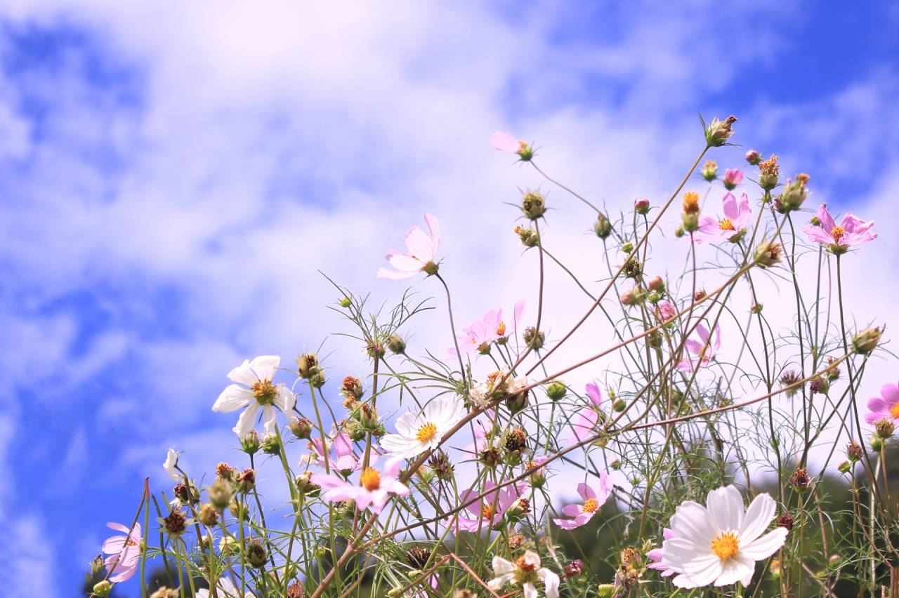 秋の気配とともに、仕事のリズムを整える